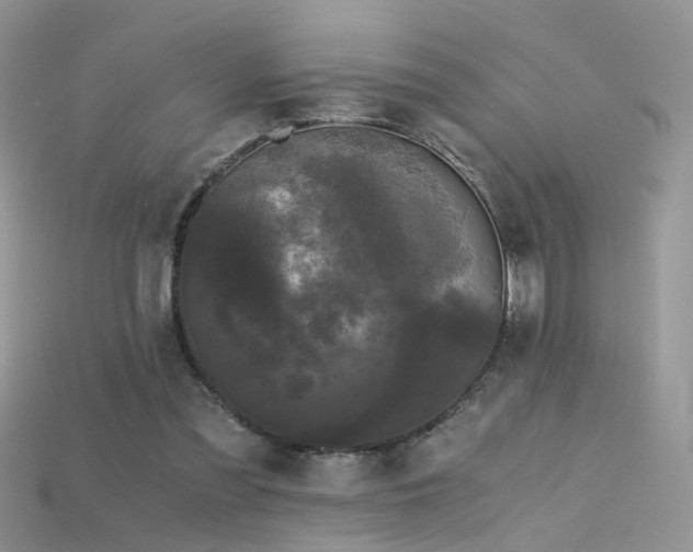 X0000115700301200911121410