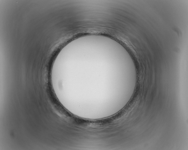 X0000115700303200911121410