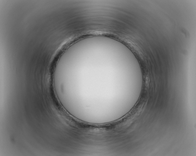 X0000115700304200911121410