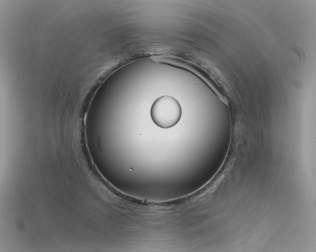 X0000115700305200911121410