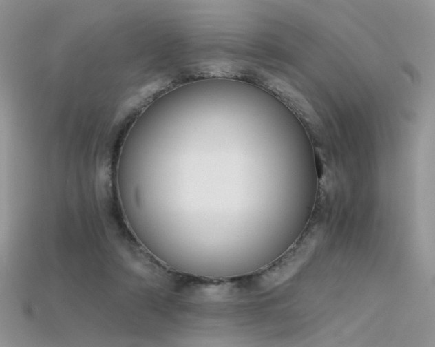 X0000115700306200911121410