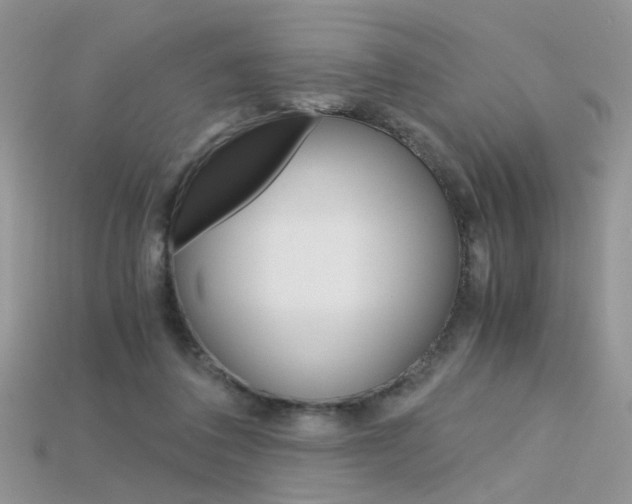 X0000115700308200911121410