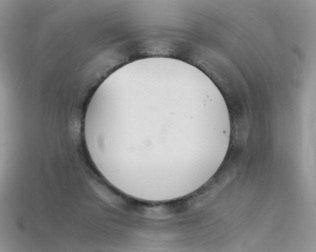 X0000115700309200911121410