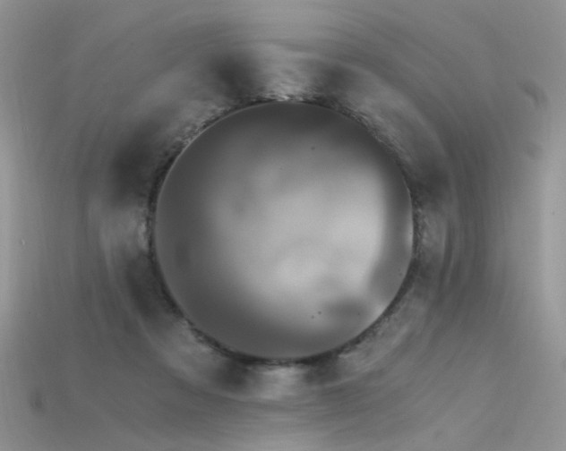 X0000115700313200911121410