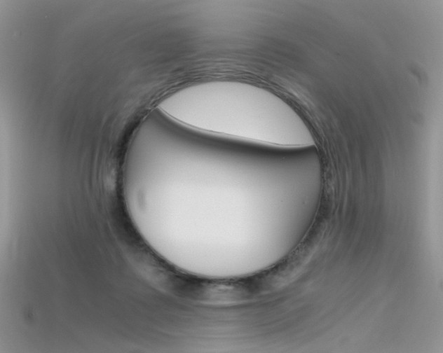 X0000115700315200911121410