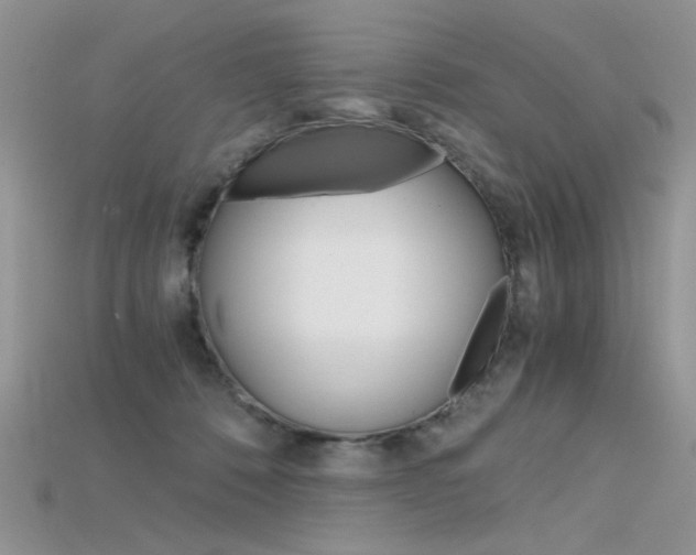 X0000115700320200911121410