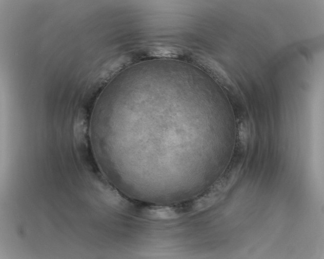 X0000115700322200911121410