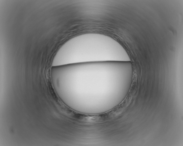 X0000115700323200911121410