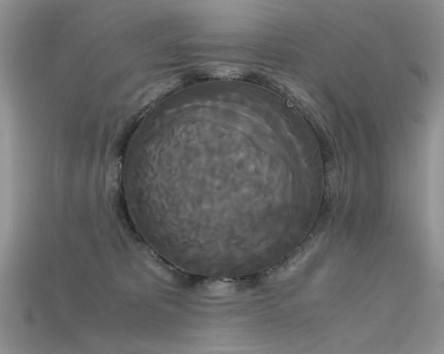 X0000115700325200911121409