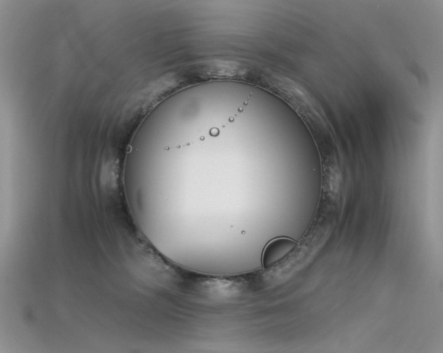 X0000115700326200911121409