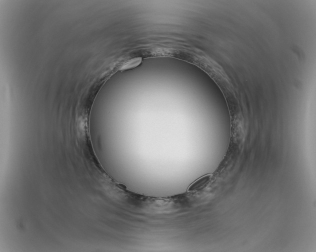 X0000115700329200911121409