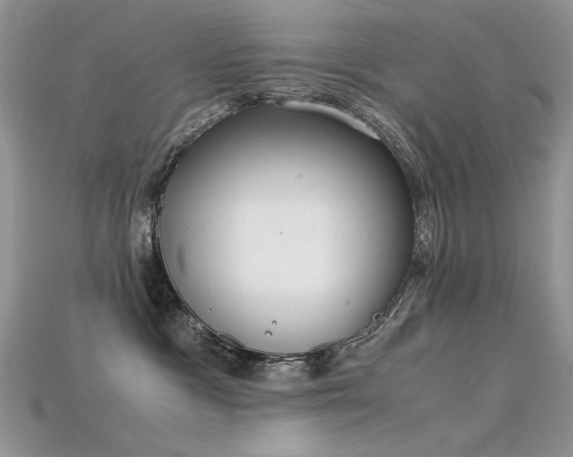 X0000115700333200911121409