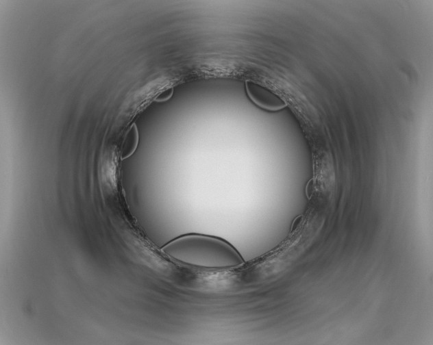 X0000115700334200911121409