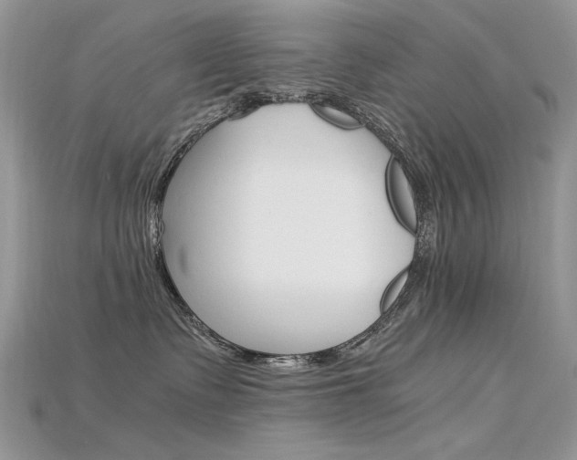 X0000115700335200911121409