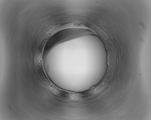 X0000115700336200911121409