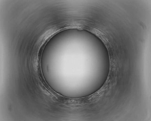 X0000115700338200911121409