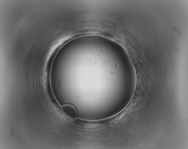 X0000115700342200911121409