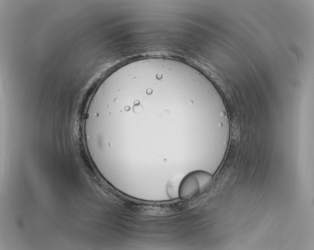 X0000115700347200911121409