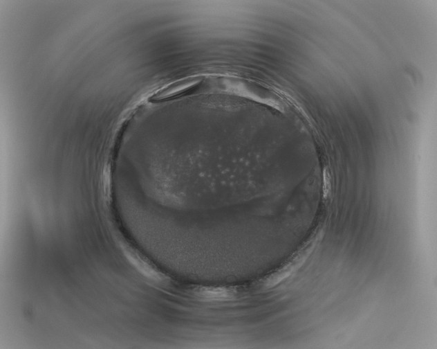 X0000115700349200911121409