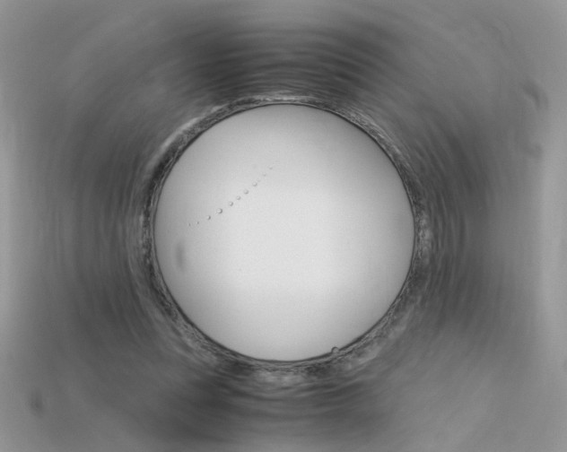 X0000115700351200911121409