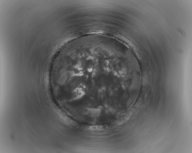 X0000115700353200911121409