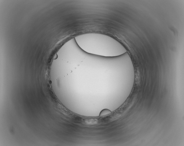 X0000115700355200911121409