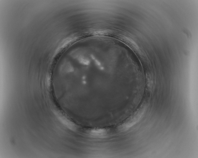 X0000115700357200911121409