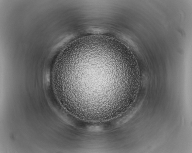 X0000115700358200911121409