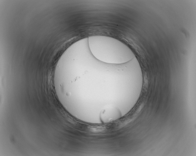 X0000115700359200911121409