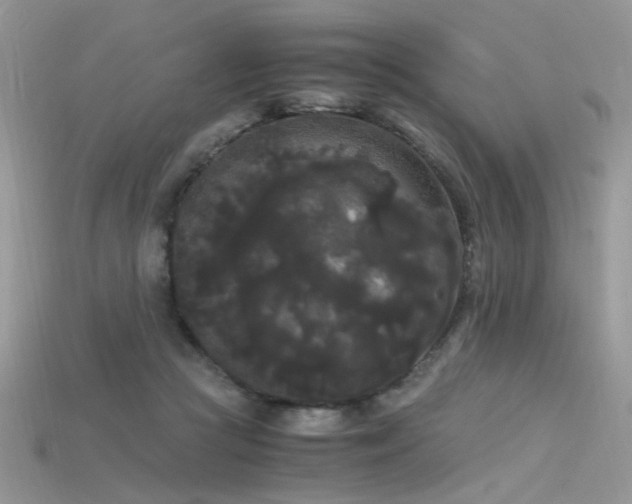 X0000115700361200911121409