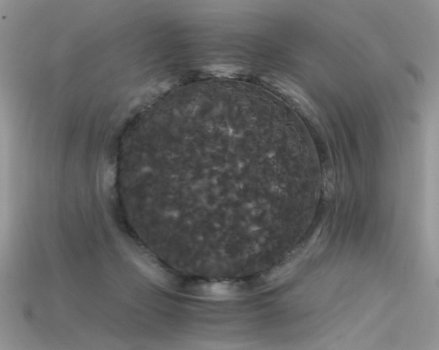 X0000115700365200911121409