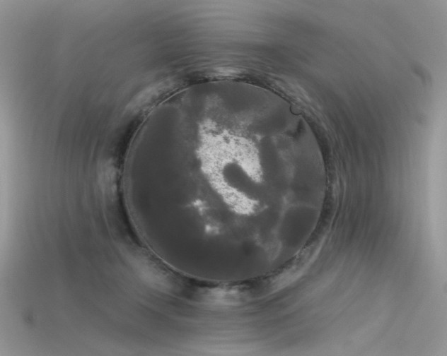 X0000115700366200911121409