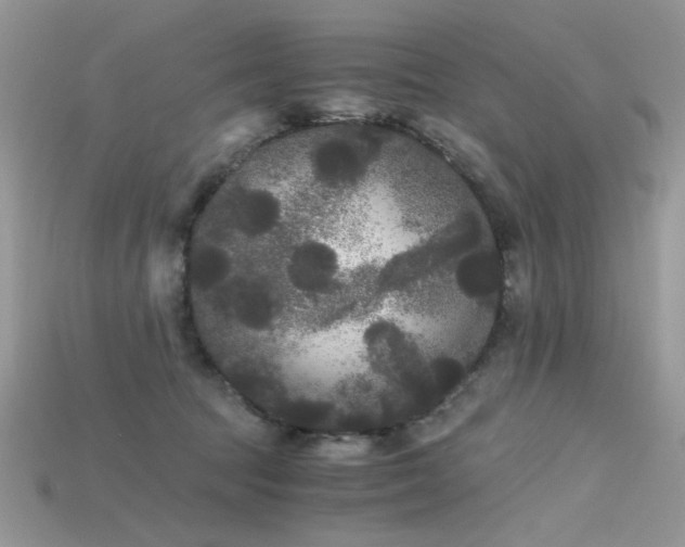 X0000115700369200911121409