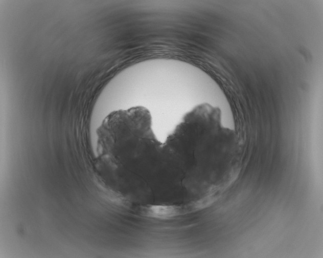 X0000115700371200911121409