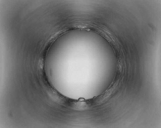 X0000115700374200911121409