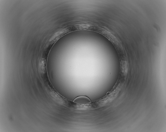 X0000115700378200911121409