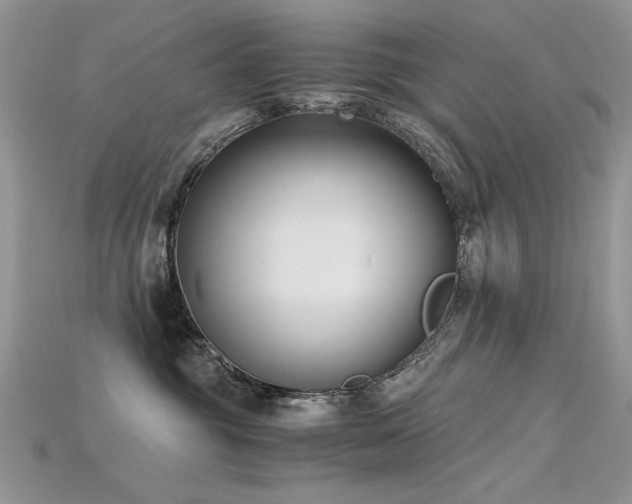 X0000115700381200911121409