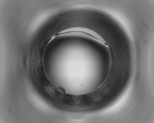 X0000115700382200911121409