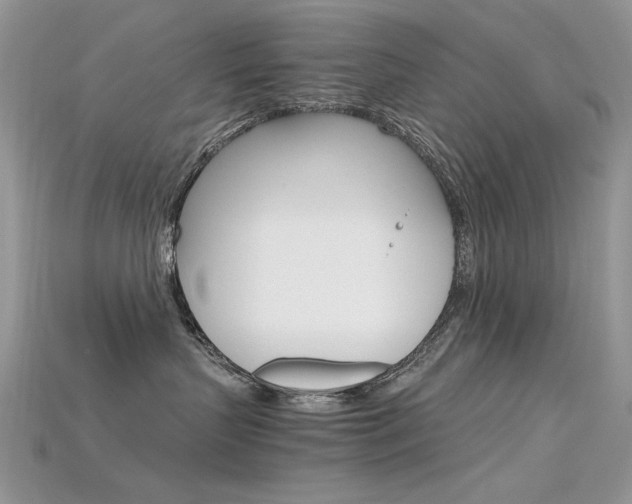 X0000115700383200911121409