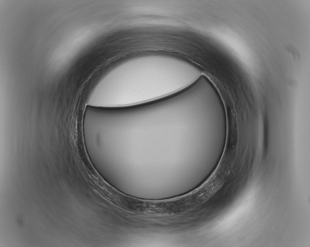 X0000115700387200911121409