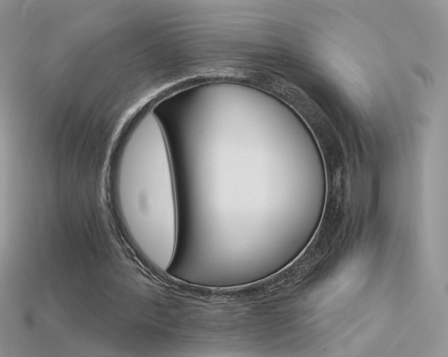 X0000115700388200911121409