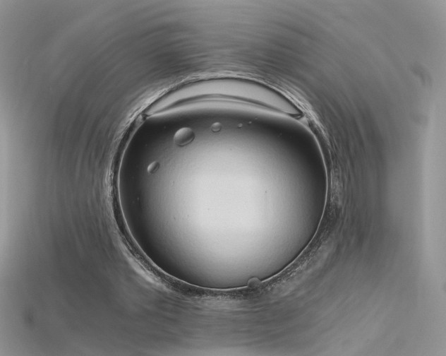 X0000115700389200911121409