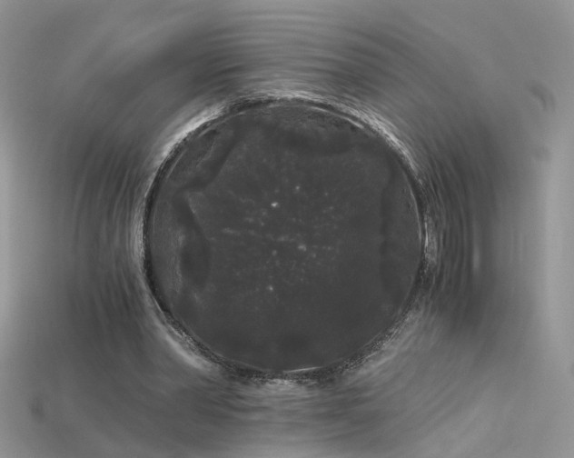 X0000115700390200911121409