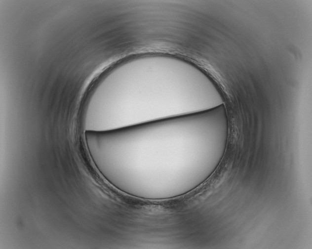 X0000115700392200911121409