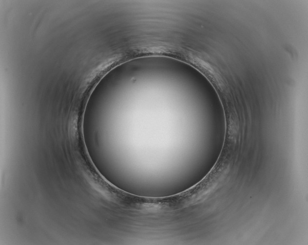 X0000115700394200911121409