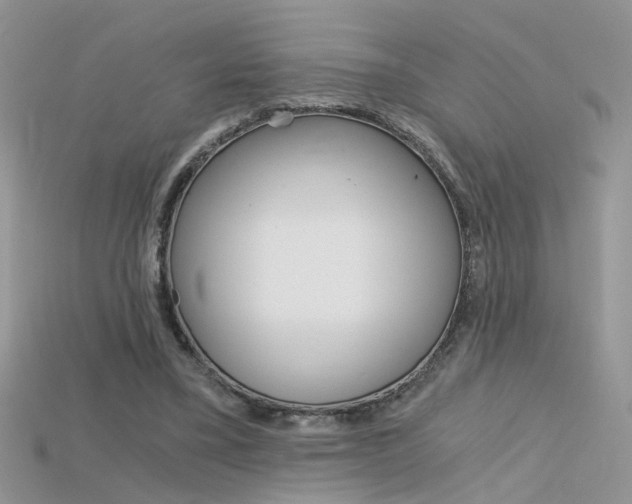 X0000115700395200911121409