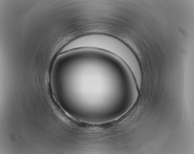 X0000115700397200911121409