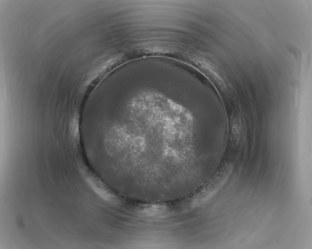 X0000115700398200911121409