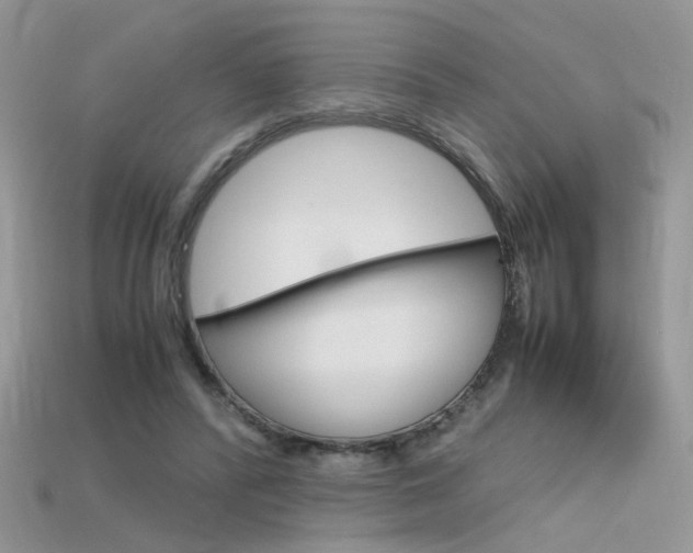 X0000115700400200911121409