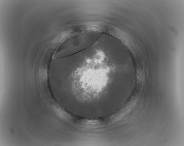 X0000115700401200911121409